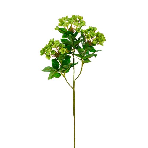27&quot; Green Spray
