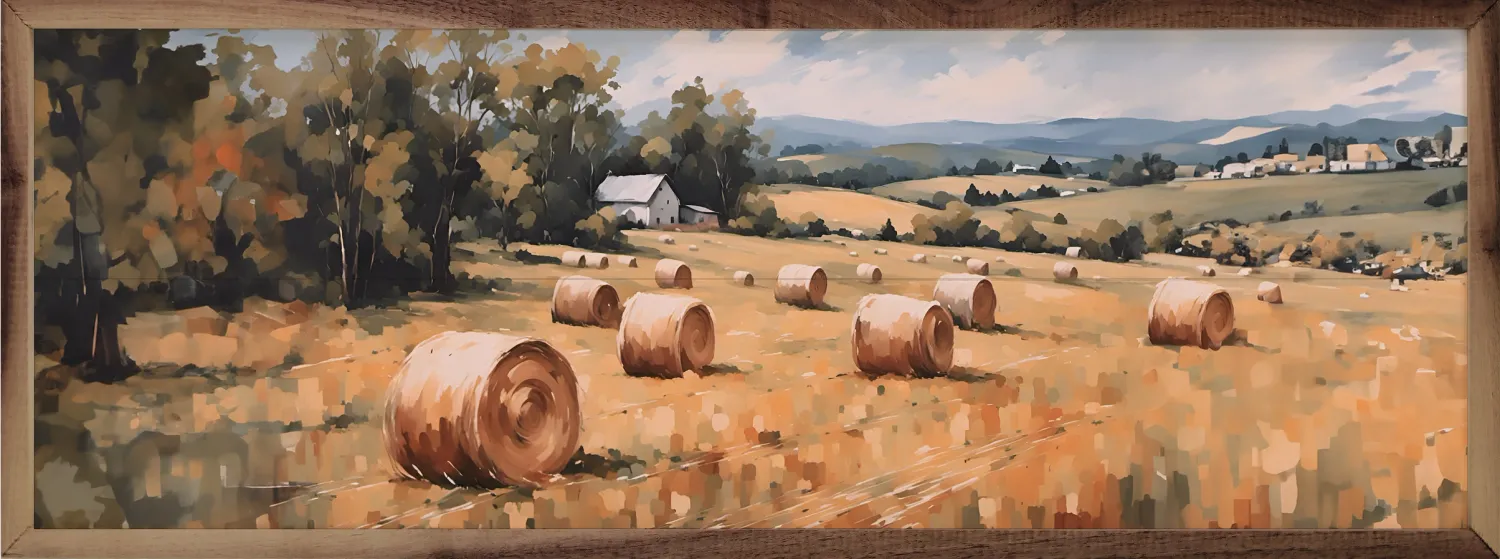 Field of Round Bales 24x8