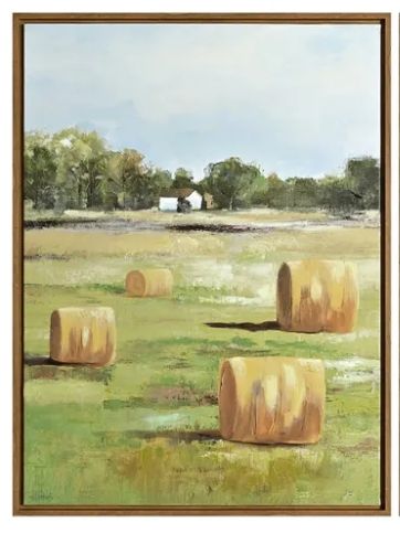 Hay Rolls 1