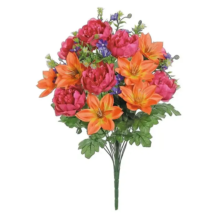 Fuchsia/Coral/Blue Peony Clematis Daisy Bush