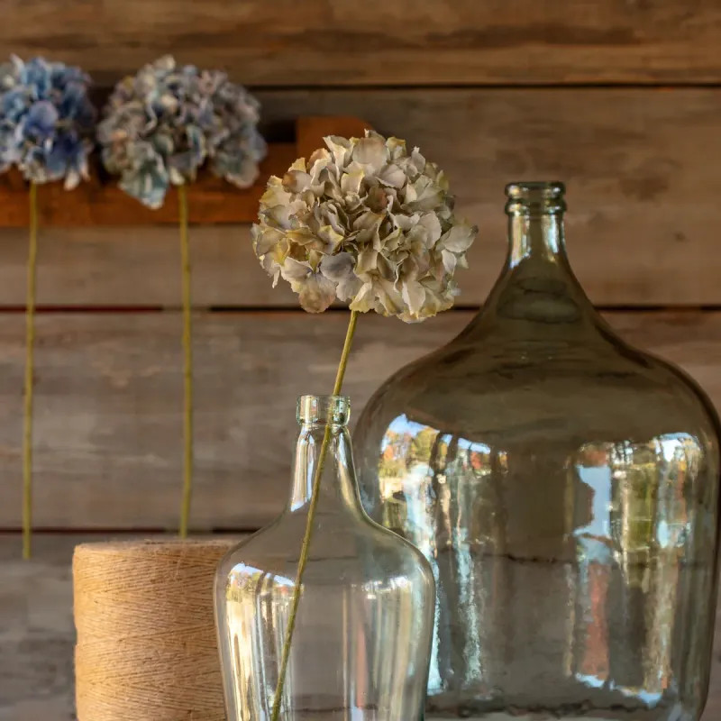 Hydrangea Stem-Late Season Blue
