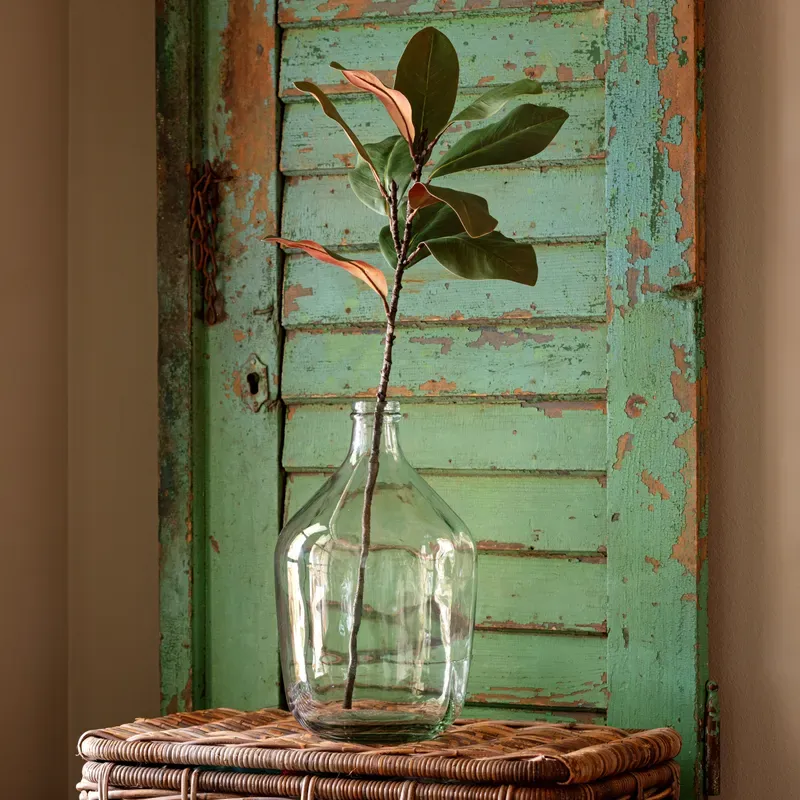 Magnolia Stem Green