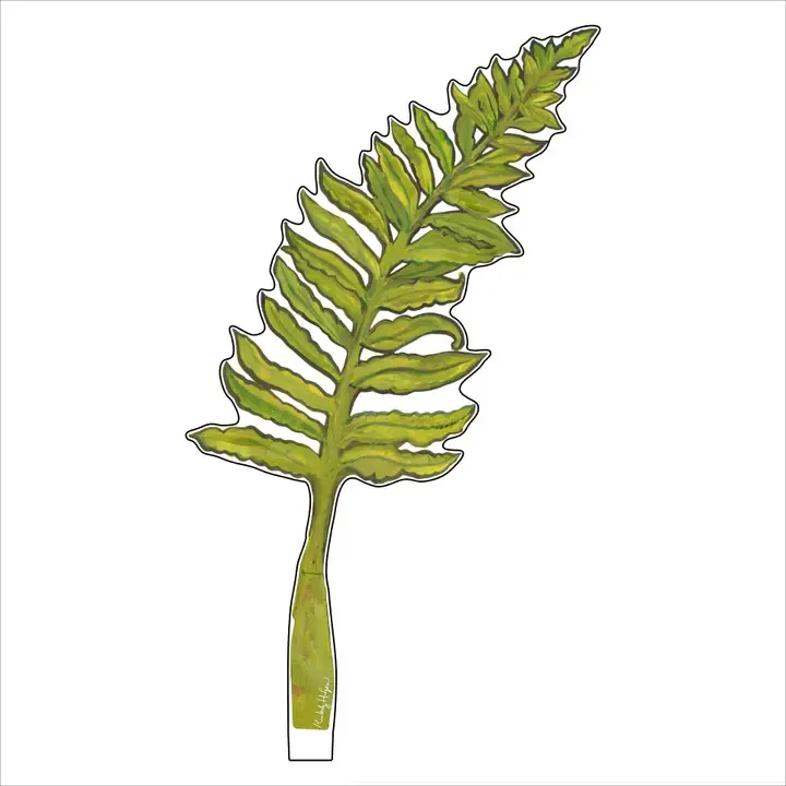 VG Classic Fern Large Acrylic Flower