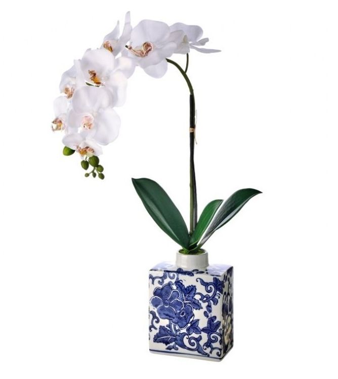 VG Orchid In Bloomsbury Vase