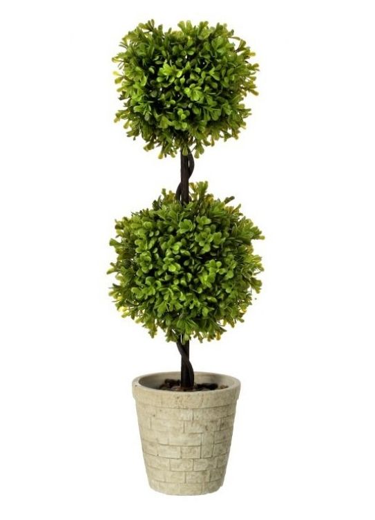 VG Spring Boxwood DBL Ball Topiary 24&quot;