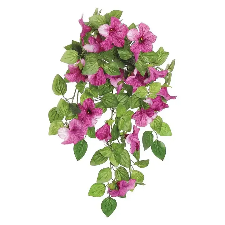 Petunia Bush/Vine-Magenta