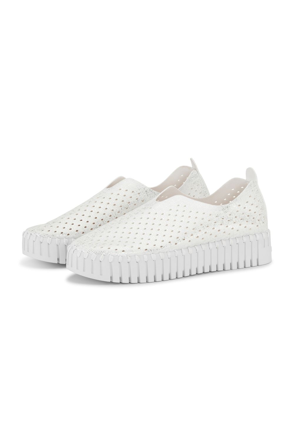 Tulip Flats-White