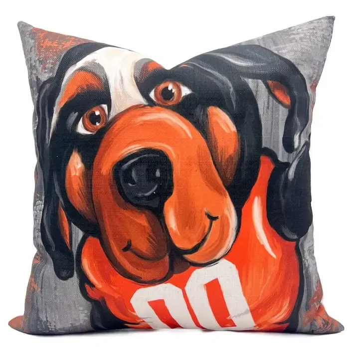 VG Smoky Mascot Pillow