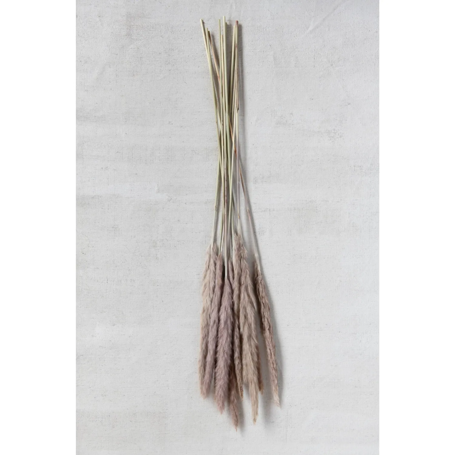 Dried Natural Fountain Grass Bunch