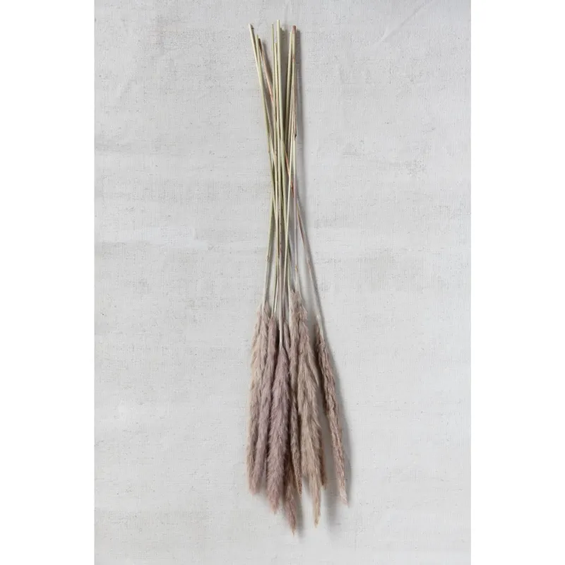 Dried Natural Fountain Grass Bunch
