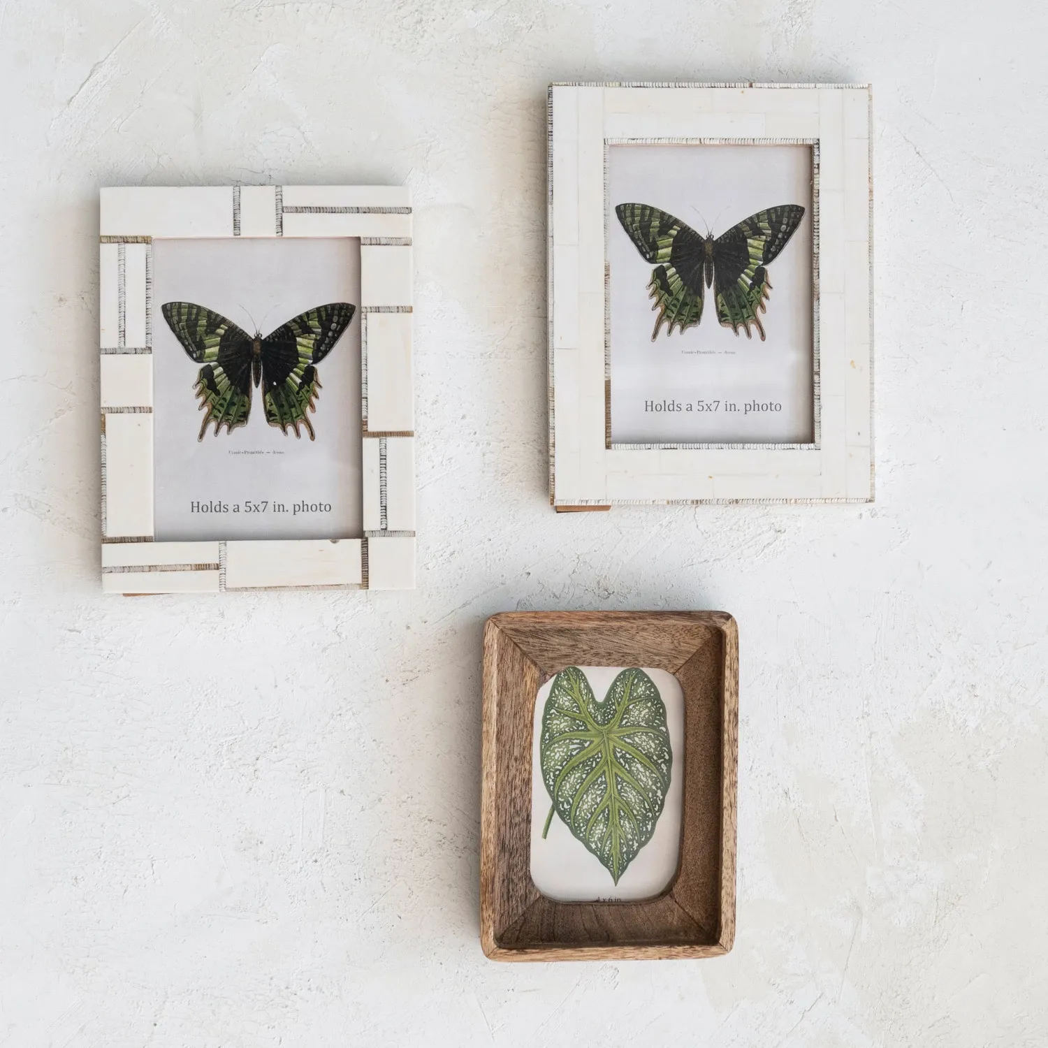 Resin Photo Frame w/ Horn Inlay Style 1