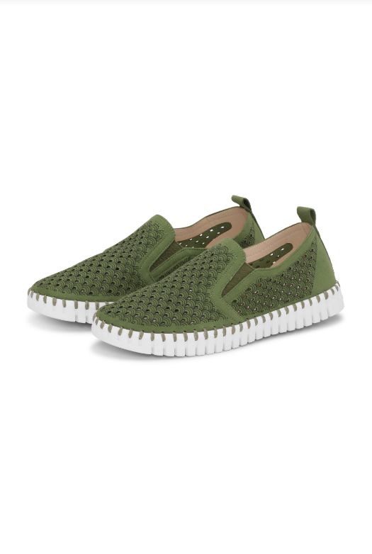 Tulip 400-Artichoke Green