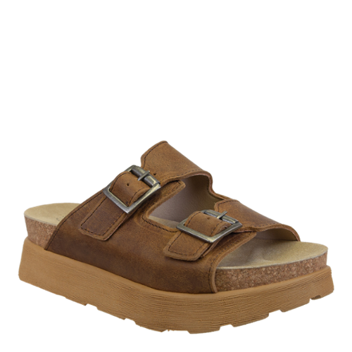 Modulink-Brown