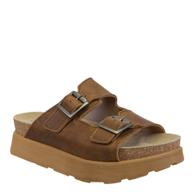 Modulink-Brown