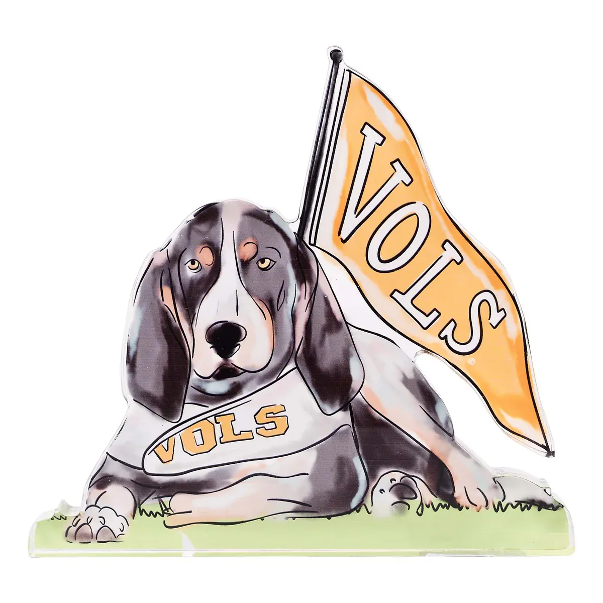 TN Smokey Acrylic Stand