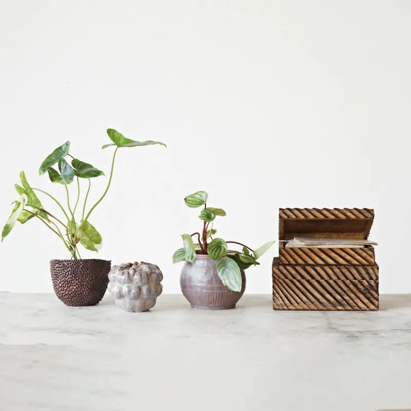 DF8554-LG Mango Wood Nesting Box