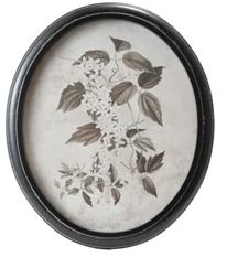 DG1001-Black Oval Print