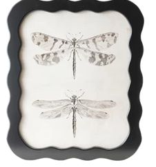 DG1001-Black Squiggle Print