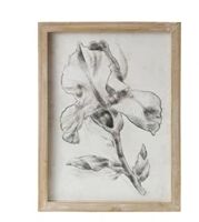 DG1001-Tan Floral Print