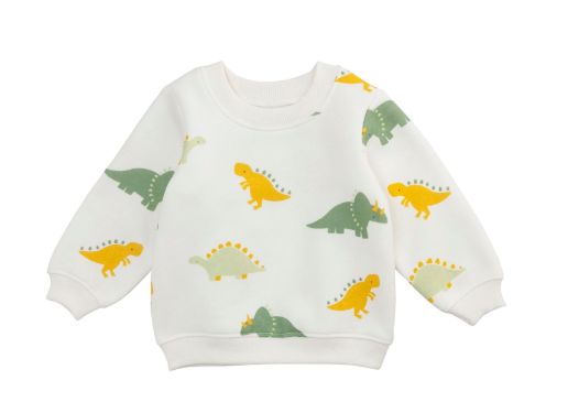 Dino Sweatshirt