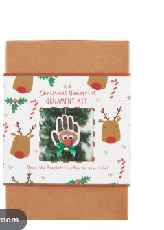 Reindeer Handprint Kit