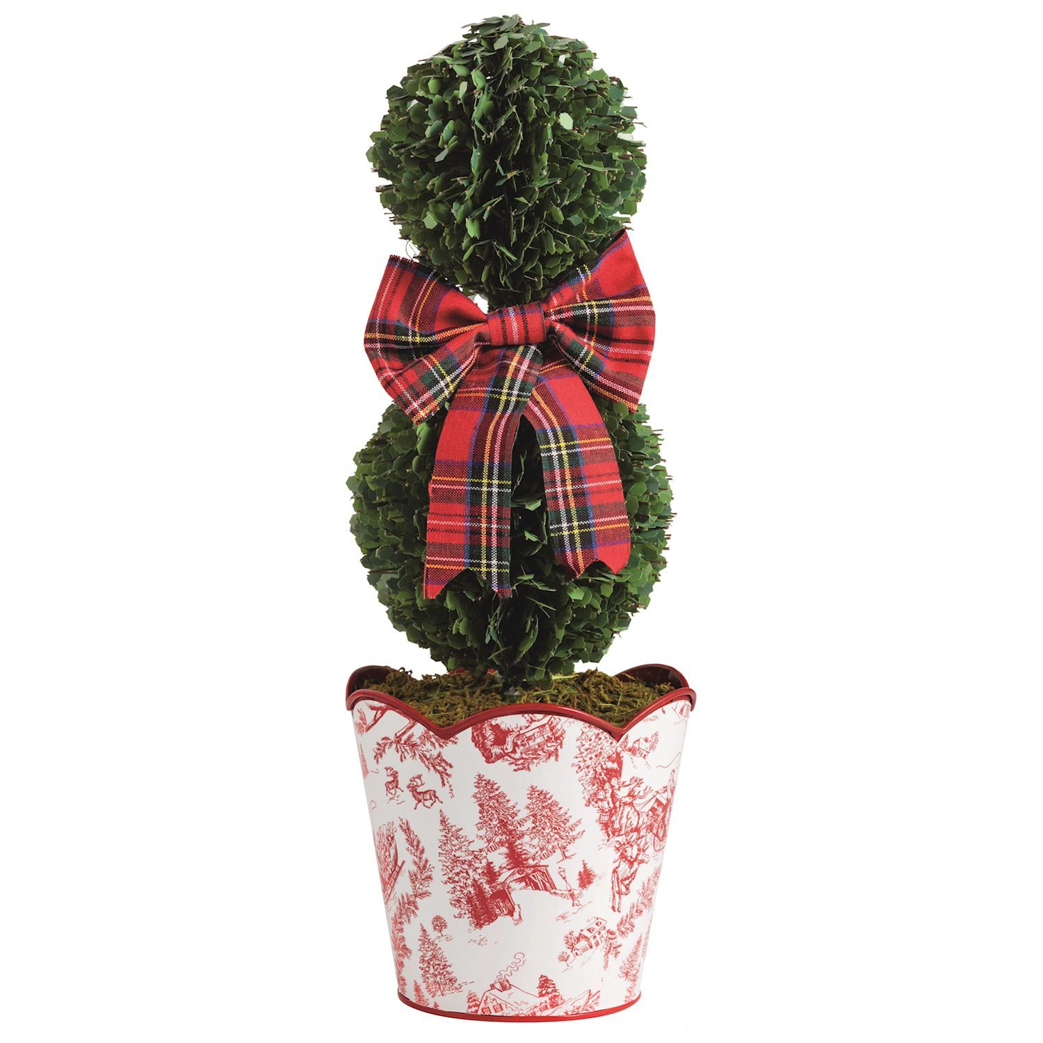Small Toile Boxwood Topiary