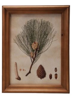 Wood Framed Glass Wall Decor Pine 1