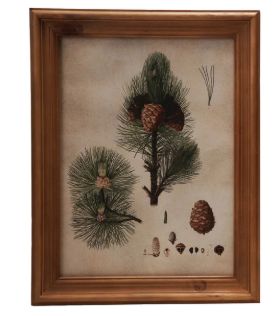 Wood Framed Glass Wall Decor Pine 3