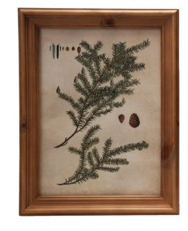 Wood Framed Glass Wall Decor Pine 4