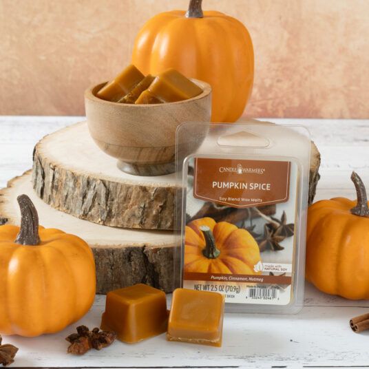 2.5oz Wax Melt-Pumpkin Spice