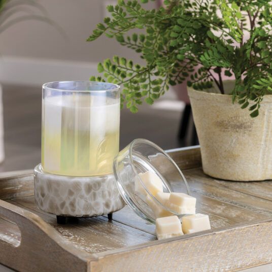 2-in-1 Classic Warmer Swirl Glass