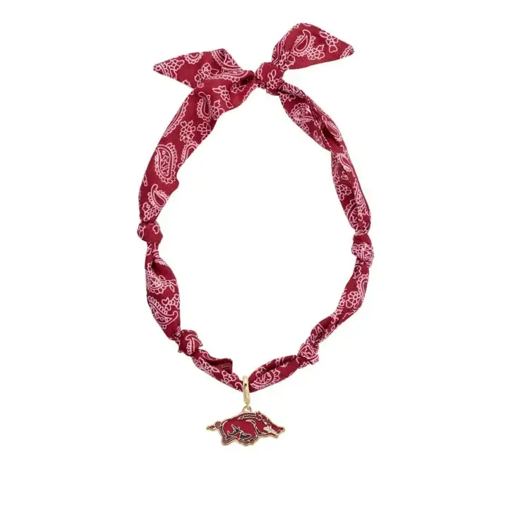 RD Arkansas Bandana Scarf