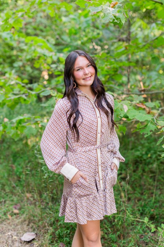 Chestnut Charm Dress