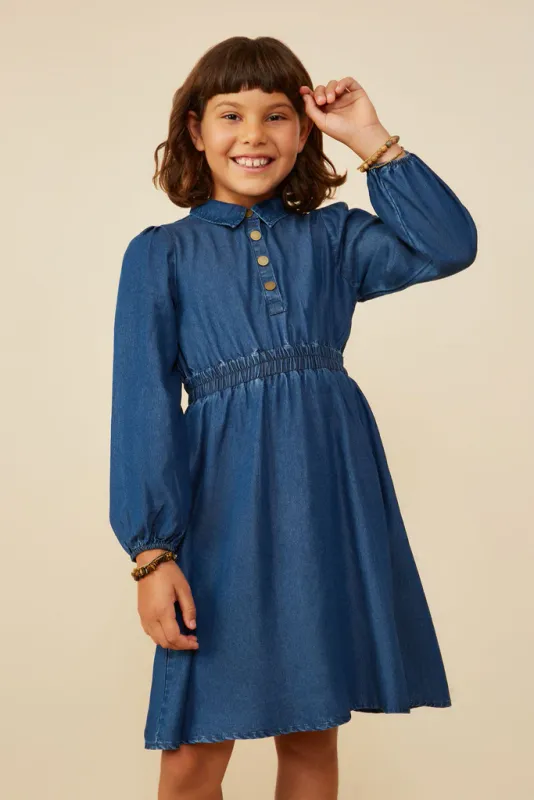 Collared Chambray Dress
