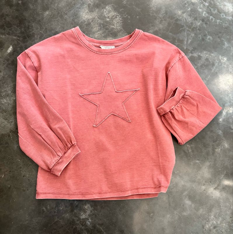 Tonal Star Washed Top