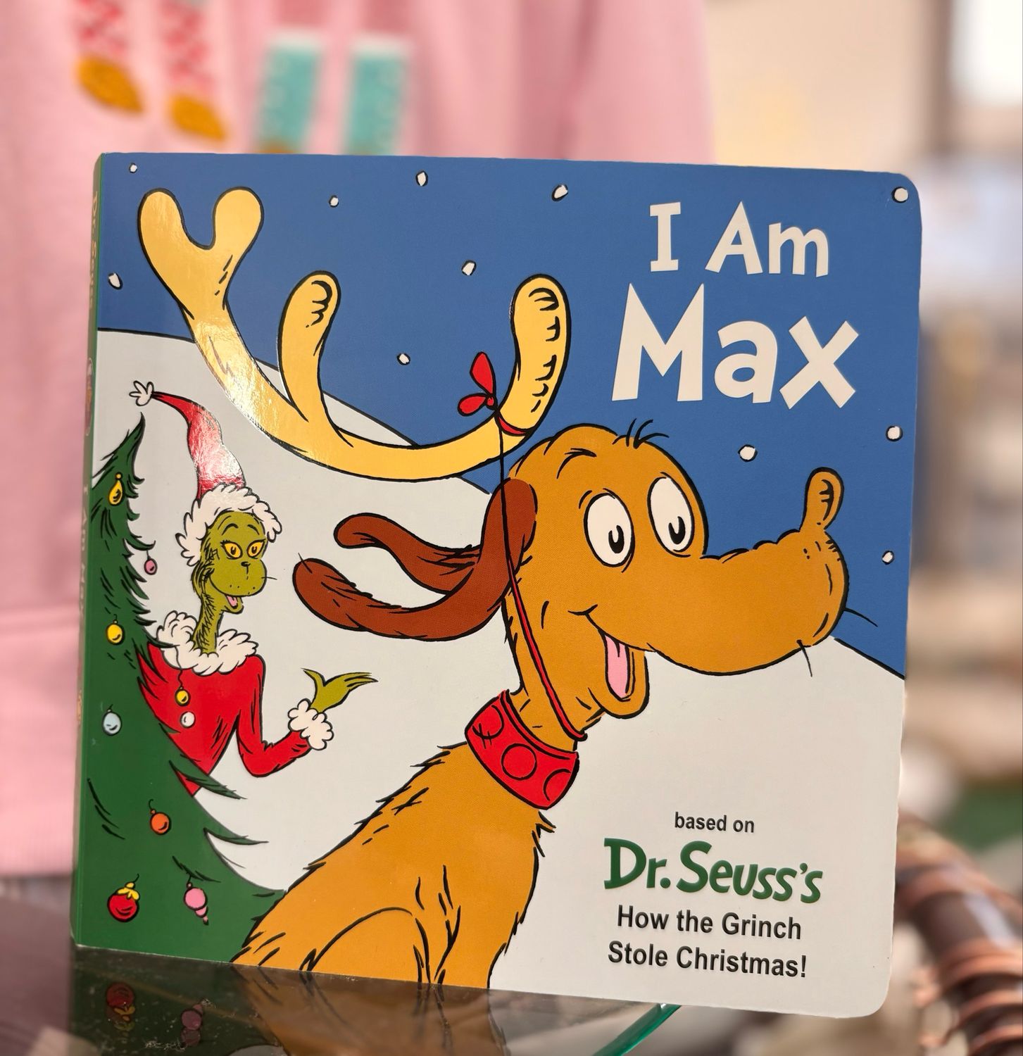 CS I am Max Book
