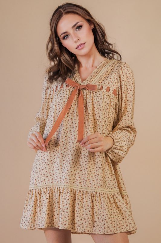 The Champagne Celebrations Dress