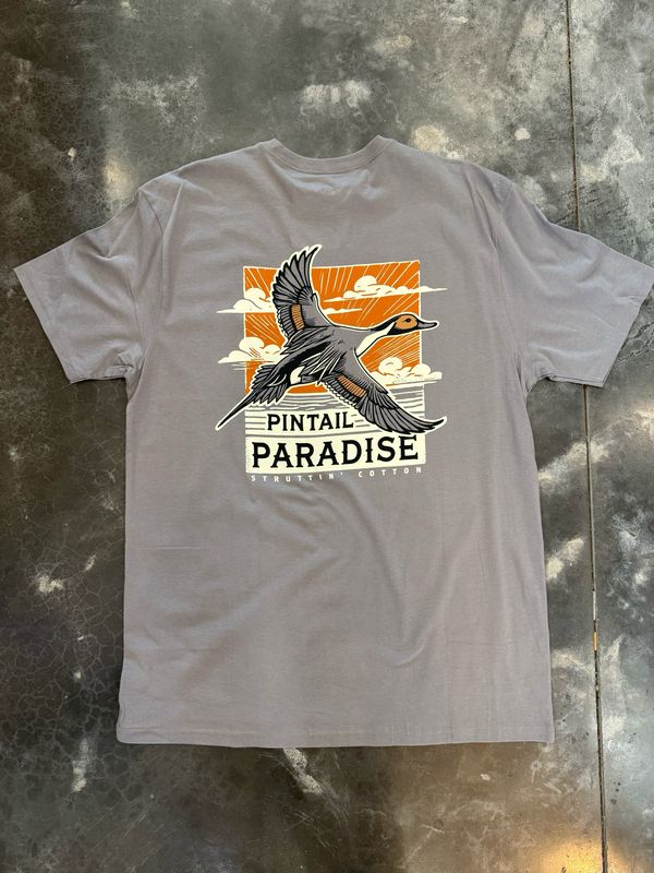 Pintail Paradise-Hurricane Grey