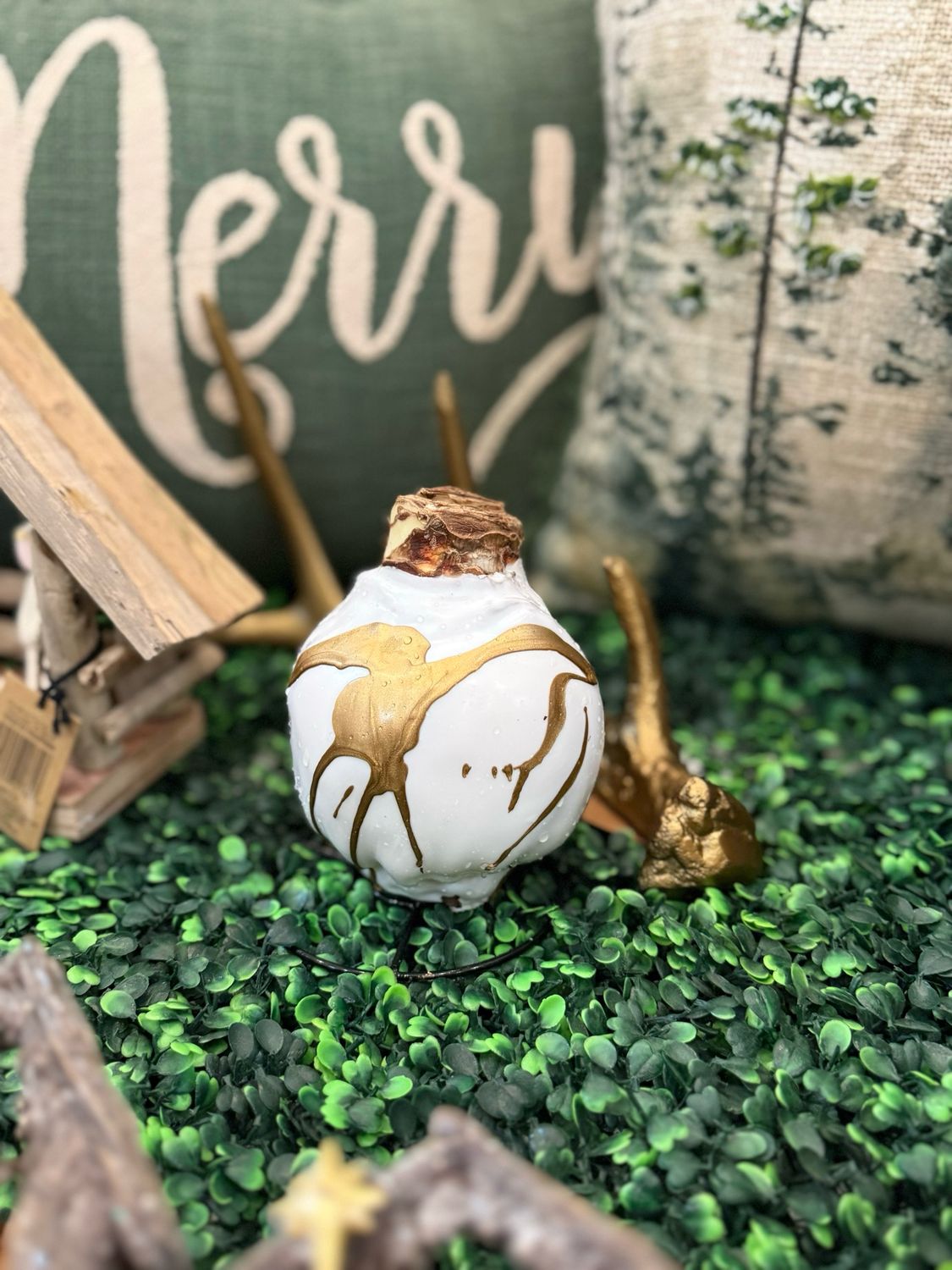 VG White &amp; Gold Splatter Amaryllis Bulb