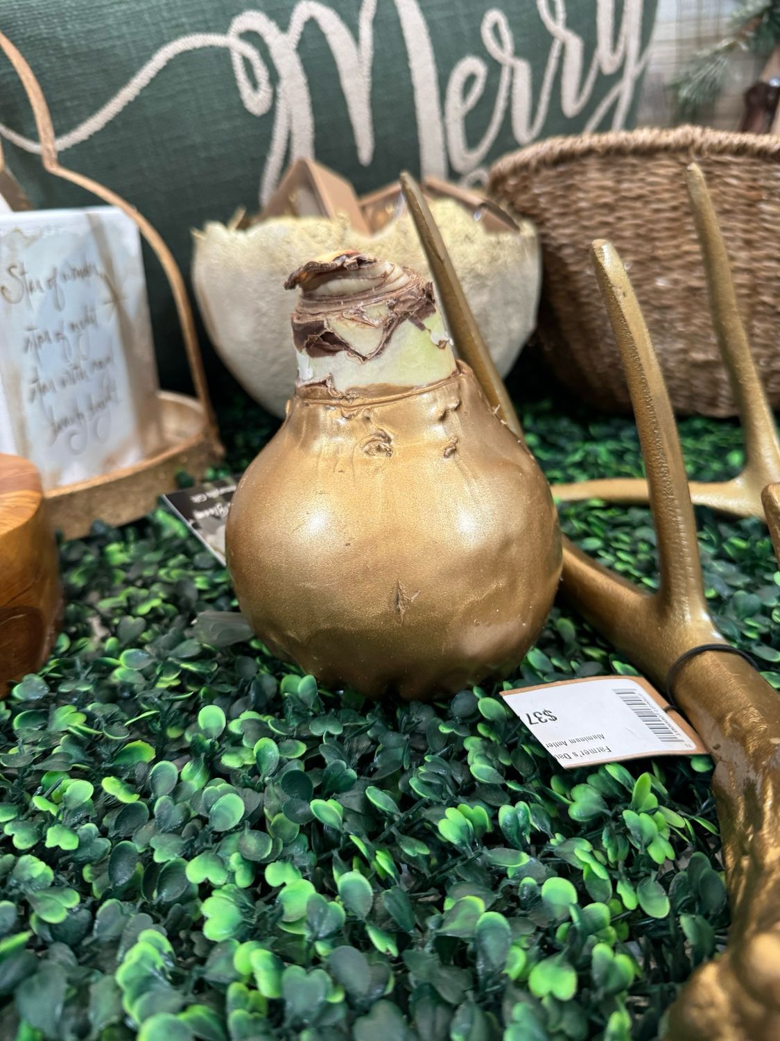 VG Solid Gold Amaryllis