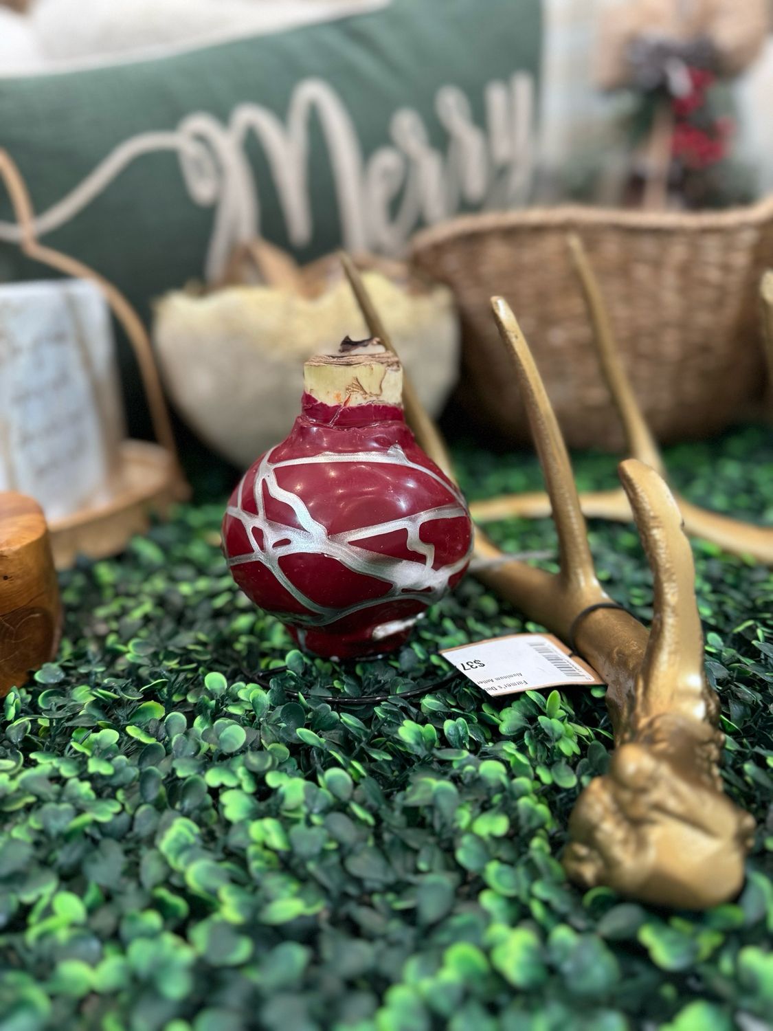 VG Burgundy &amp; Silver Splatter Amaryllis