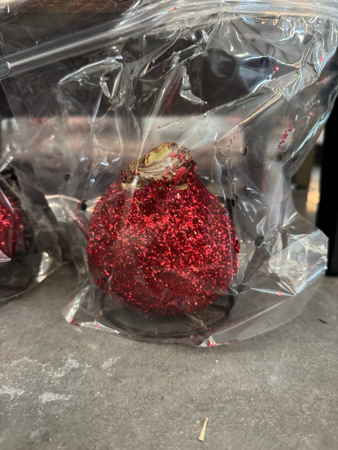 VG Red Glitter Amaryllis