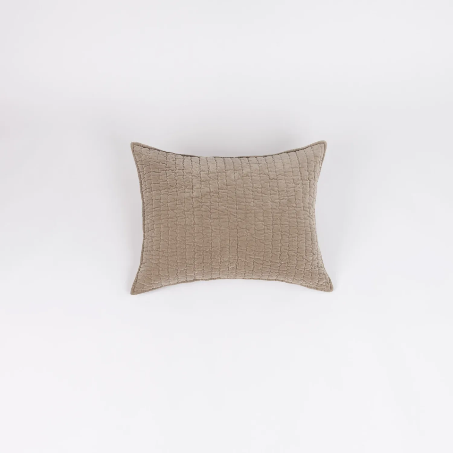 Ethan Sham-Mushroom-Euro