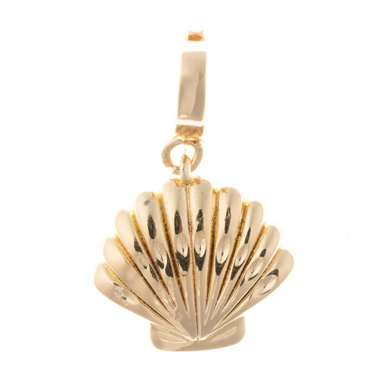 Shell Charm