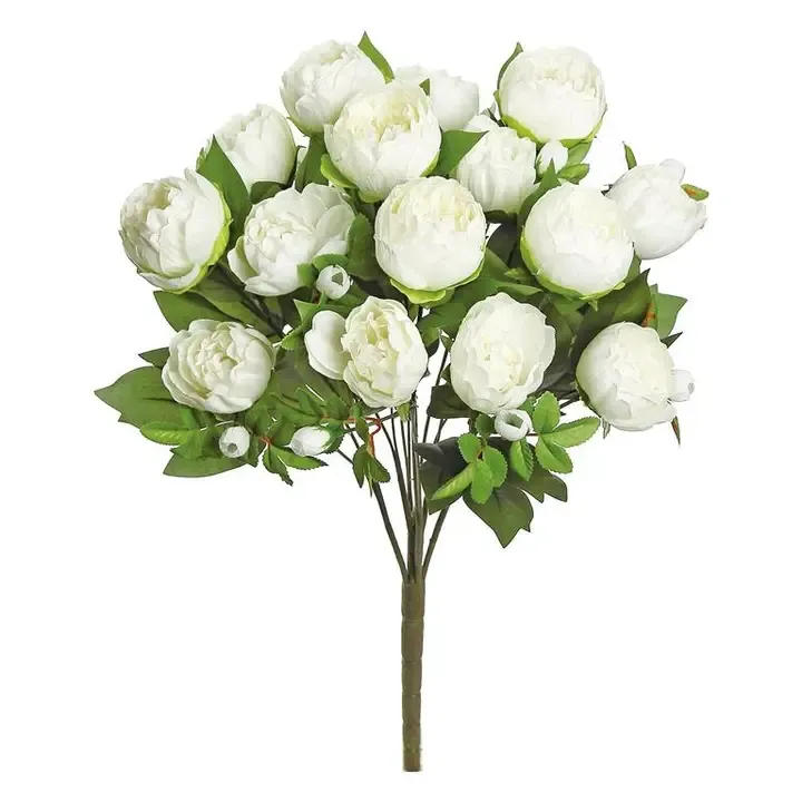 Cream Backyard Peony