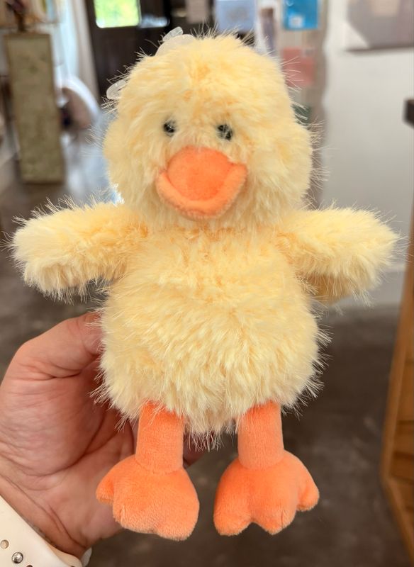 CH Yellow Duck