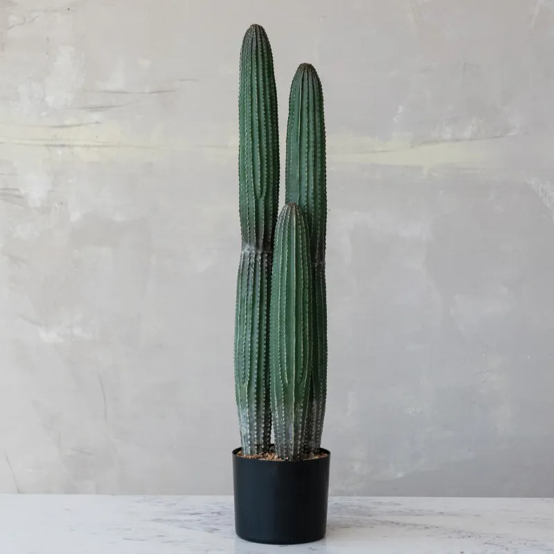 DG0368-Faux Pchycereus Cactus