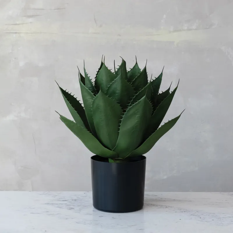 DG0374-Faux Agave Plant