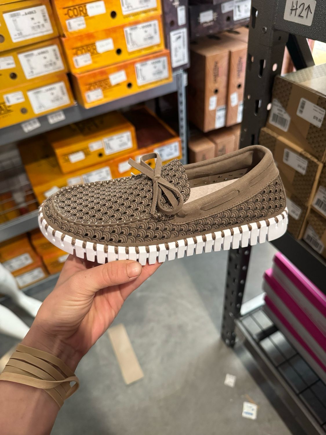 Sneakers-Falcon