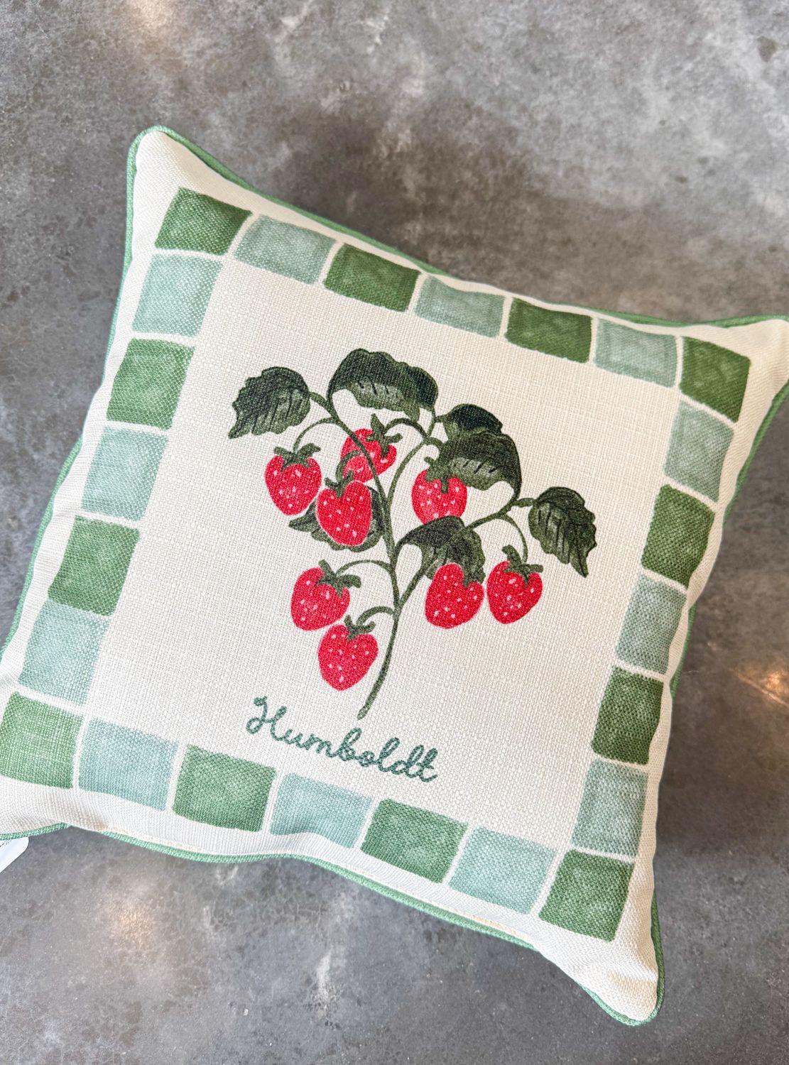Strawberries Green Frame Hometown Pillow + Piping